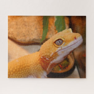 Yellow Leopard Gecko Puzzle