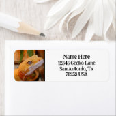 Yellow Leopard Gecko Rücksendeadresse (Insitu)