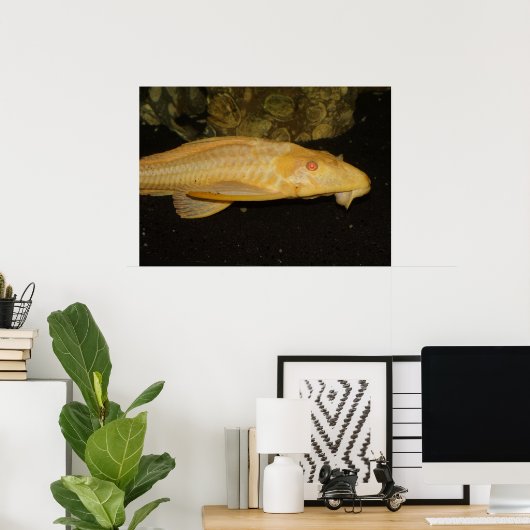 Yellow Leopard Sailfin Pleco Poster (Heimbüro)