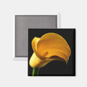 Yellow Lilly Magnet (Vorderseite/Rückseite)