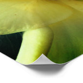 Yellow Lily Blume Petals Mirror Abstrakt Poster (Ecke)
