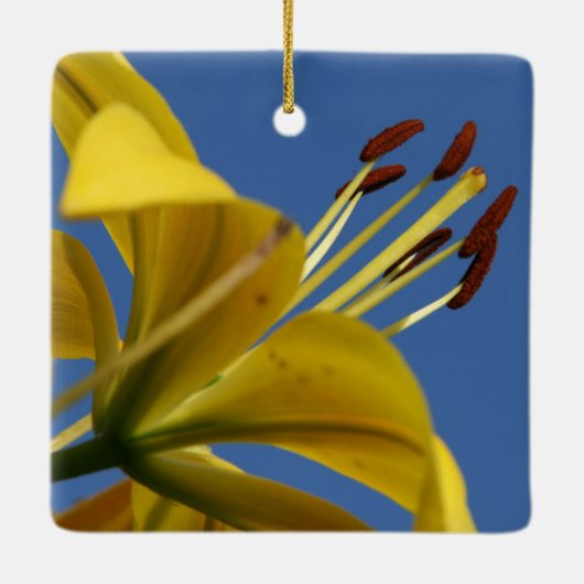 Yellow Lily Ornament (Rückseite)