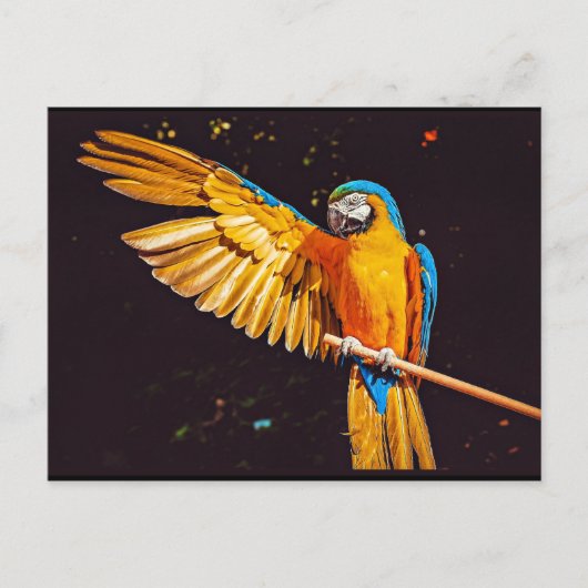 Yellow Macaw Parrot Magnet Postkarte (Vorderseite)