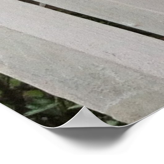 Yellow Mandevilla Poster (Ecke)