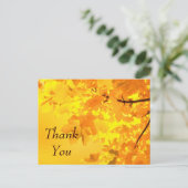 Yellow Maple Danke, Postcard Postkarte (Stehend Vorderseite)