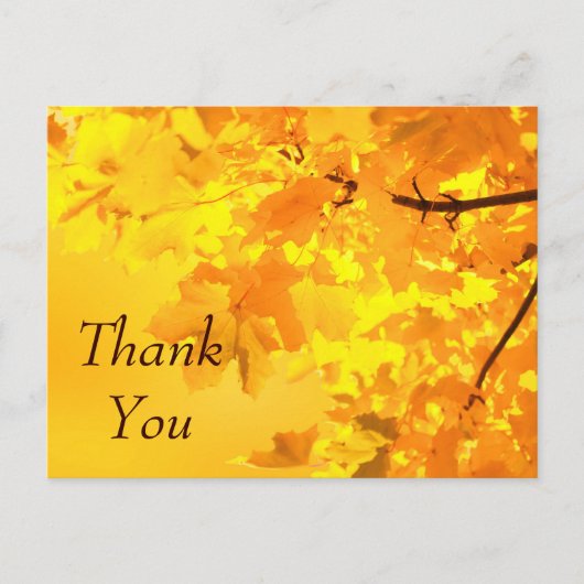 Yellow Maple Danke, Postcard Postkarte (Vorderseite)