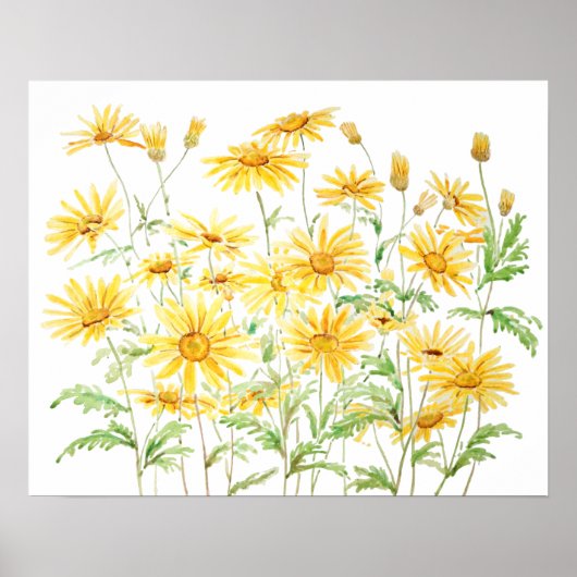 Yellow Margaret Daisies Zweig Aquarell Poster (Vorne)