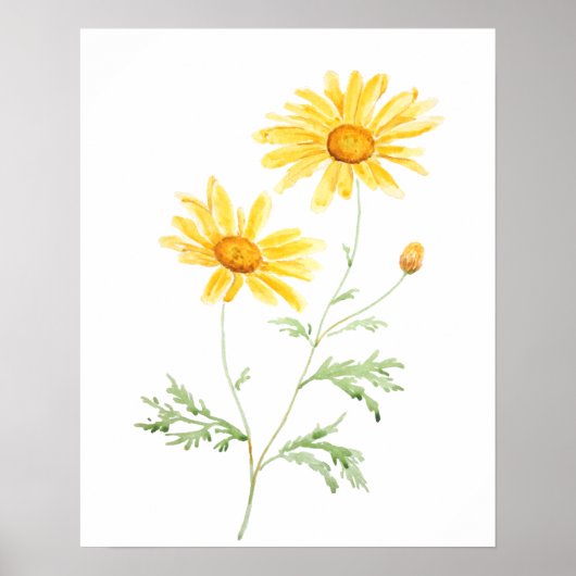 Yellow Margaret daisy watercolor Poster (Vorne)