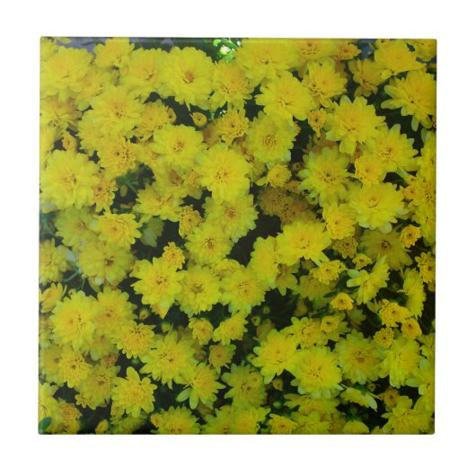 Yellow Margarita Daisy Tile Fliese (Vorderseite)