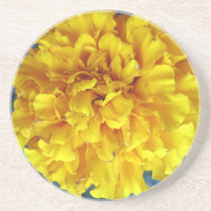 Yellow Marigold Getränkeuntersetzer