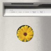 Yellow Marigold Macro Magnet (In Situ (Geschirrspüler))