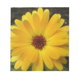 Yellow Marigold Macro Notepad Notizblock