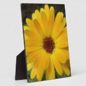 Yellow Marigold Macro Plaque Fotoplatte (Seite)