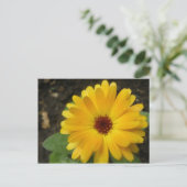 Yellow Marigold Macro Postcard Postkarte (Stehend Vorderseite)