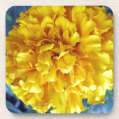 Yellow Marigold Untersetzer (Vorderseite)