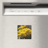 Yellow marigolds bask in sunlight magnet (In Situ (Geschirrspüler))