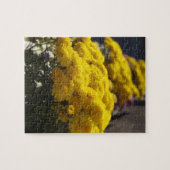 Yellow marigolds bask in sunlight puzzle (Horizontal)