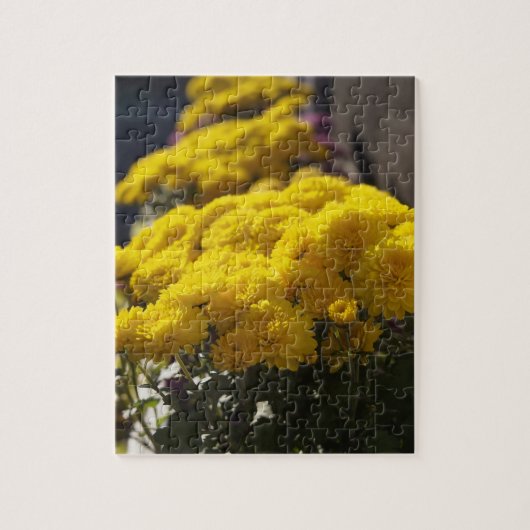 Yellow marigolds bask in sunlight puzzle (Vertikal)