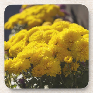 Yellow marigolds bask in sunlight untersetzer