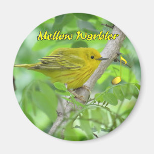 Yellow (Mellow) Magnet