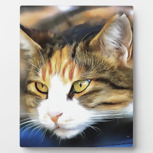 Yellow Mit Augen Calico Katze Realistisches Pet Po Fotoplatte