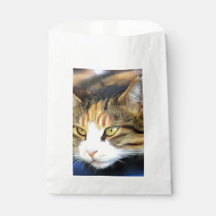 Yellow Mit Augen Calico Katze Realistisches Pet Po Geschenktütchen