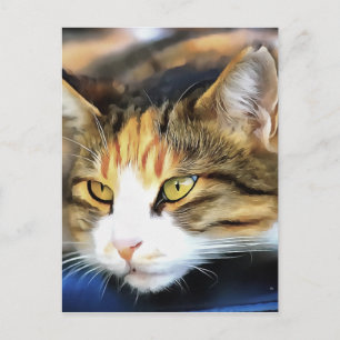 Yellow Mit Augen Calico Katze Realistisches Pet Po Postkarte