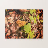 Yellow Morel Jigsaw Puzzle (Horizontal)