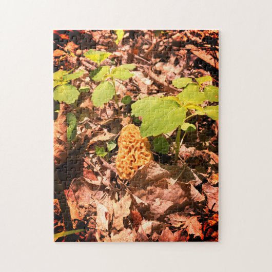 Yellow Morel Jigsaw Puzzle (Vertikal)