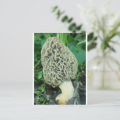 Yellow Morel Mushroom Postkarte (Stehend Vorderseite)