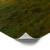 Yellow Mounds Overlook, Badlands NP, South Dakota Poster (Ecke)