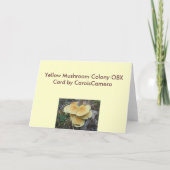 Yellow Mushroom Colony OBX Feiertagskarte (Rückseite)
