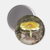 Yellow Mushroom Magnet (Vorderseite/Rückseite)