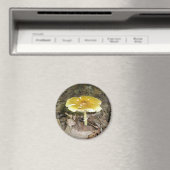 Yellow Mushroom Magnet (In Situ (Geschirrspüler))