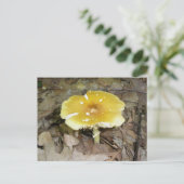 Yellow Mushroom Postcard #2 Postkarte (Stehend Vorderseite)