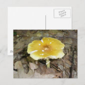 Yellow Mushroom Postcard #2 Postkarte (Vorne/Hinten)