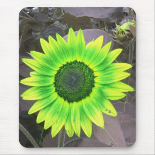 Yellow N Green Sunflower Mousepad