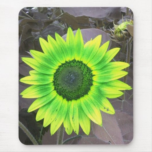 Yellow N Green Sunflower Mousepad (Vorne)