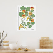 Yellow Nasturtiums | Antiker Lithograph 1896 Poster (Küche)