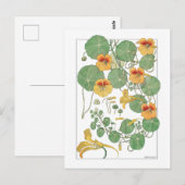 Yellow Nasturtiums | Antiker Lithograph 1896 Postkarte (Vorne/Hinten)