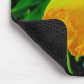 Yellow Orange Daffodil Mousepad (Ecke)