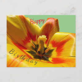 Yellow Orange Tulip Happy Birthday Postcard Postkarte