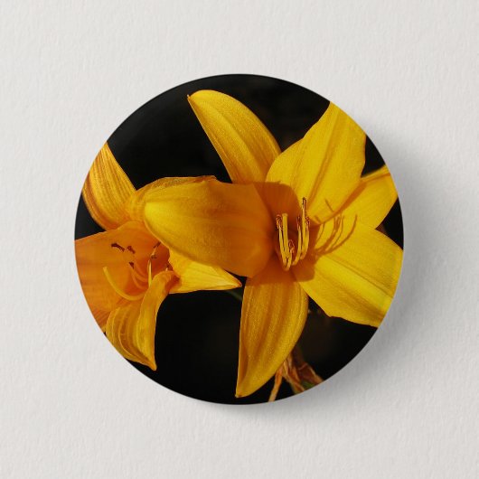 Yellow Orchid Button (Vorderseite)