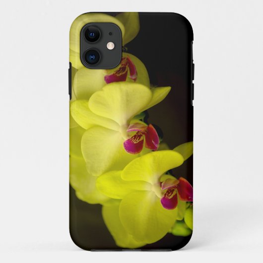 Yellow Orchid - iPhone Case (Rückseite)