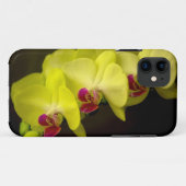 Yellow Orchid - iPhone Case (Rückseite (Horizontal))