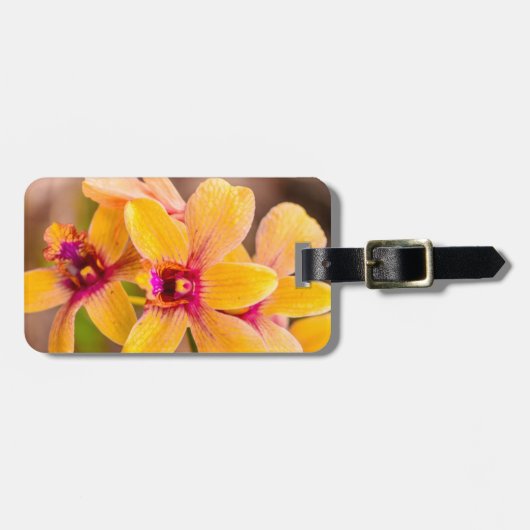 Yellow Orchid, Lawai, Kauai, Hawaii Gepäckanhänger (Vorderseite horizontal)