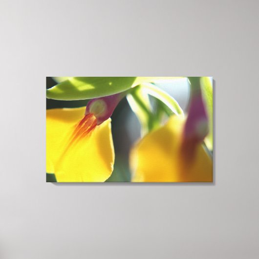 Yellow Orchid Leinwanddruck (Vorderseite)