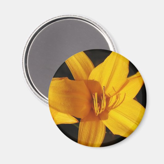 Yellow Orchid Magnet (Vorderseite/Rückseite)