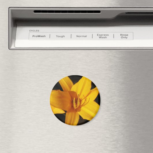 Yellow Orchid Magnet (In Situ (Geschirrspüler))