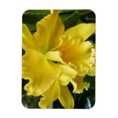 Yellow Orchid Magnet (Vertikal)